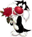 котик.gif