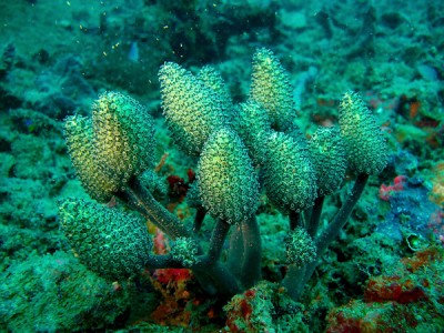 IMG_4023a.jpg