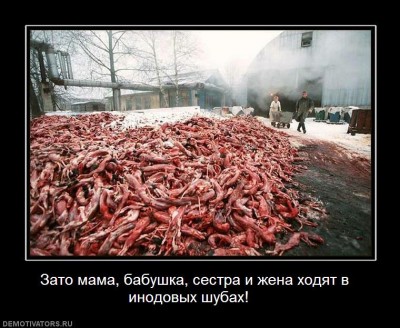 309011_zato-mama-tyotya-i-babushka-teper-v-norkovyih-shubah.jpg