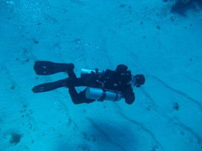IMG_3550.jpg