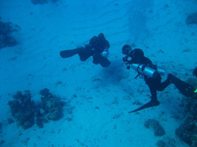 IMG_3544.jpg
