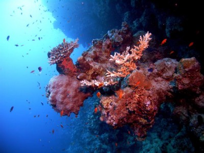 M0010471_2.jpg