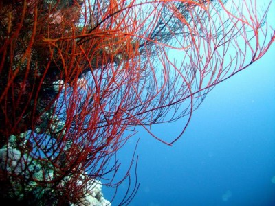 M0010435.jpg