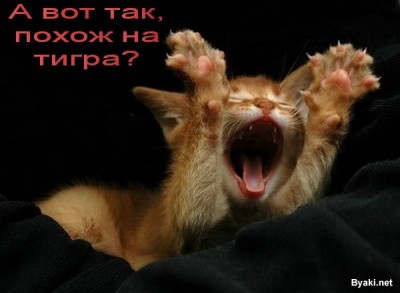 1229971398_ghjvtguylkgui.jpg