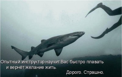 Дайвер.jpg