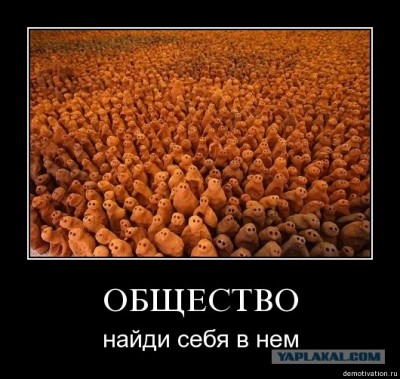 Общество.jpg