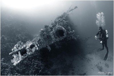 Karnatik nose.jpg