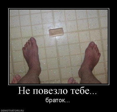 2606826.jpg