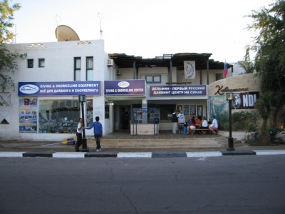 dolphin shop 3.jpg