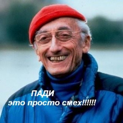 article_image-image-article.jpg