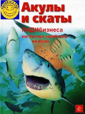 2215400.jpg