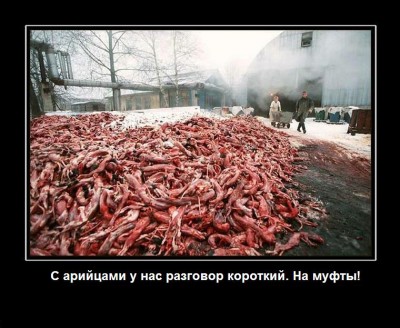 309011_zato-mama-tyotya-i-babushka-teper-v-norkovyih-shubah.jpg