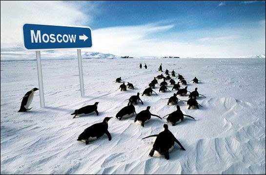 Moscow_1.jpg