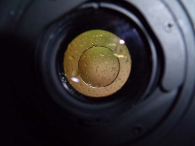 DSCN0143_Small.jpg