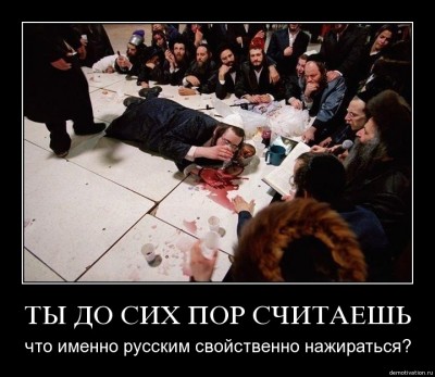 2909858.jpg