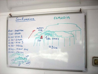 IMG_2177.jpg