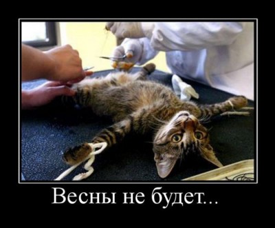 photo.jpeg
