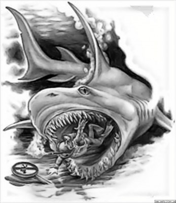 166969&forumfullimg~general~1225870673137~1231016001159.jpg