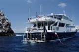 Boatback small.jpg