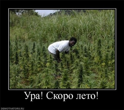 2010 03 25 03.jpg