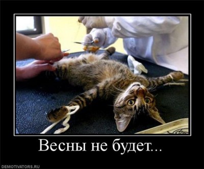 2010 03 21 01.jpg