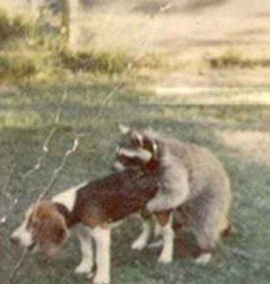 2010 03 27 03.jpg