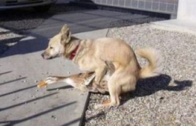2010 03 27 04.jpg