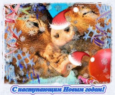 New-year.jpg
