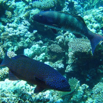 IMG_4317.JPG