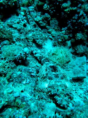 IMG_6319.JPG