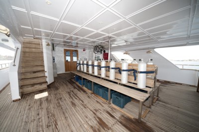 divedeck12.jpg