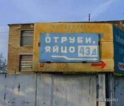 3194381.jpg