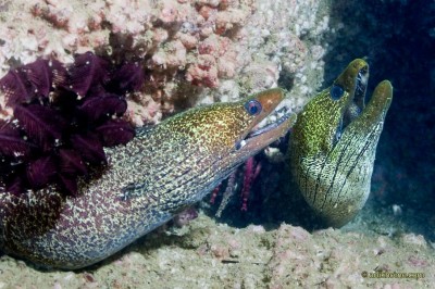 IMG_7043.jpg