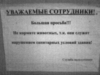 s320x240.jpeg