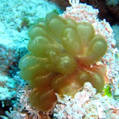 IMG_7927.JPG