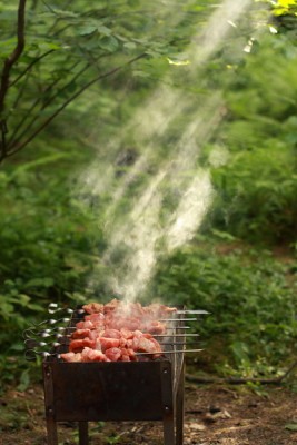355_p1_resize.jpg