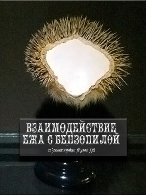 IMG_0328.jpg