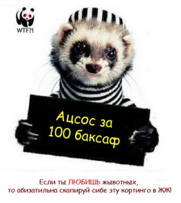 Acsos-enota.jpg