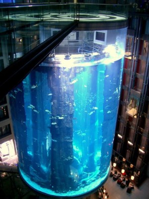 aquadom04.jpg