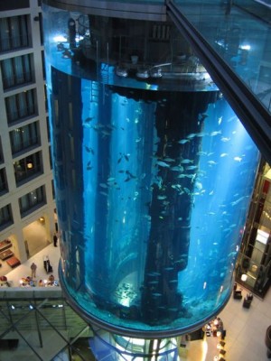 aquadom02.jpg