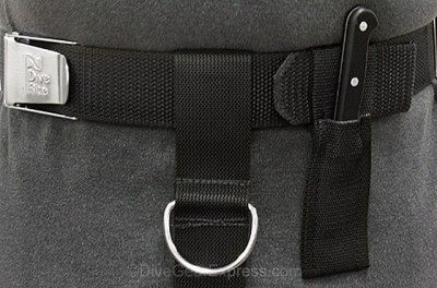 Hog_harness_9-640.jpg