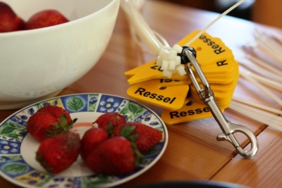 ressel2010_112.JPG