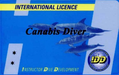 idd_canabis_sm.jpg