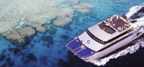 spoilsport_and_reef_800x450_homepage.jpg