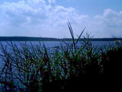 IMG0662A.jpg