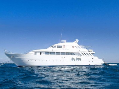 myseafriend-01.jpg