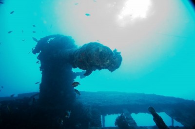 DSC_9274.jpg