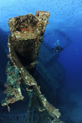 _DSC2014.jpg
