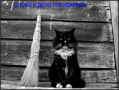 слово и дело.JPG