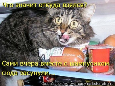 catmatrix_24.jpg